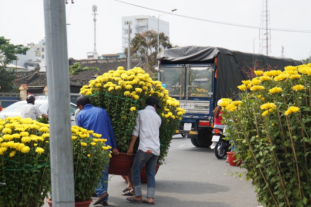 Tiểu thương thẳng tay đập bỏ, chặt gốc hoa đem về, không bán rẻ chiều 30 Tết-13