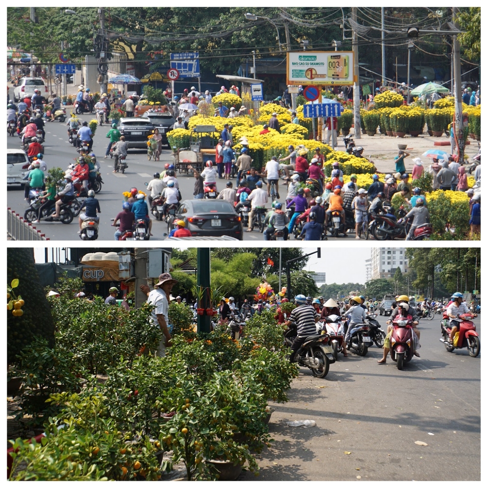 Tiểu thương thẳng tay đập bỏ, chặt gốc hoa đem về, không bán rẻ chiều 30 Tết-14