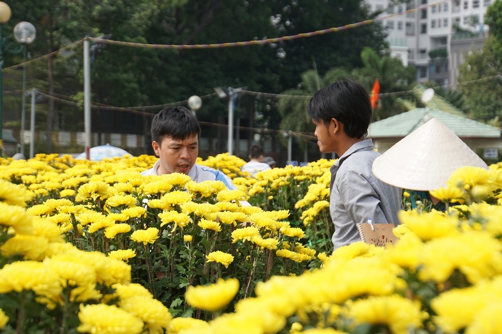 Tiểu thương thẳng tay đập bỏ, chặt gốc hoa đem về, không bán rẻ chiều 30 Tết-5