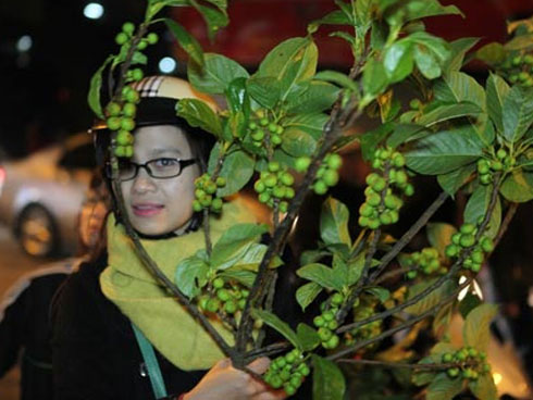 Tết Kỷ Hợi 2019: Ngày giờ và hướng xuất hành tốt nhất-2