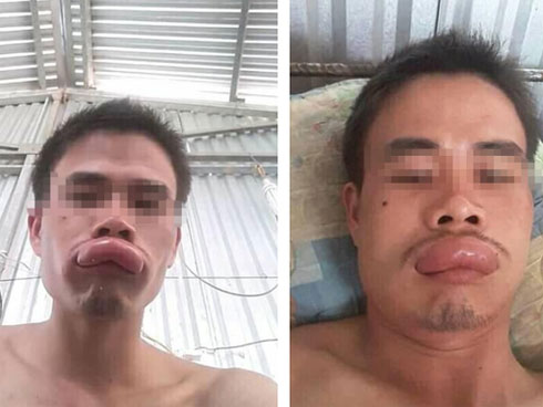 Sự thật về bông hoa trắng lạ, không ai biết tên đang gây xôn xao mạng xã hội-4