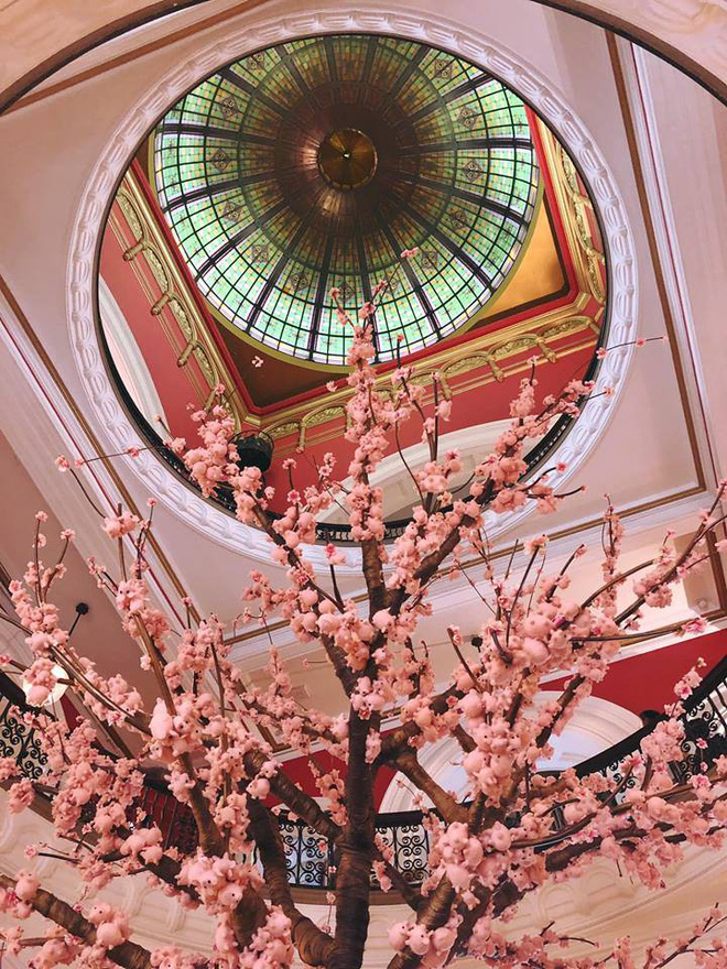 Nhìn xa trông giống cây đào, đến gần xem kĩ, nhiều người giật mình vì ‘bông họa lạ’-1