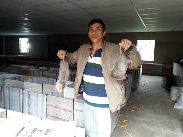 Thu 6 tỷ đồng mỗi năm từ...20 cặp chuột-2