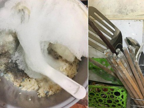 Quay lại phòng trọ sau Tết, dân tình khóc thét vì bỏ quên nồi cơm điện lên mốc meo