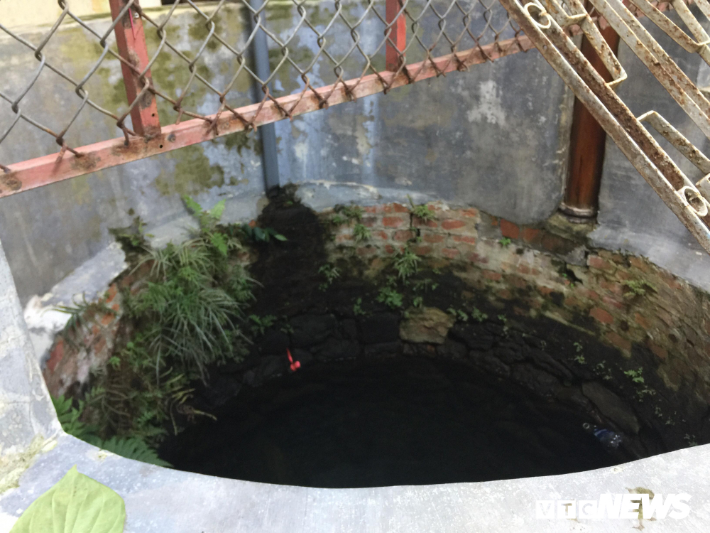 Cây sanh giá chục tỷ của bạo chúa miền Trung Ngô Đình Cẩn-5