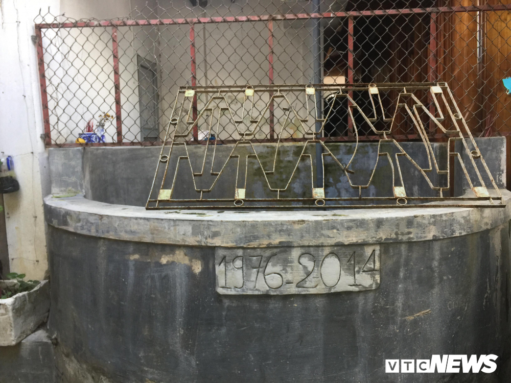 Cây sanh giá chục tỷ của bạo chúa miền Trung Ngô Đình Cẩn-6