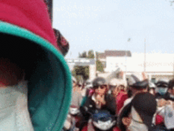 Chuyện nhức nhối tại chợ Viềng không phải ai cũng biết-1