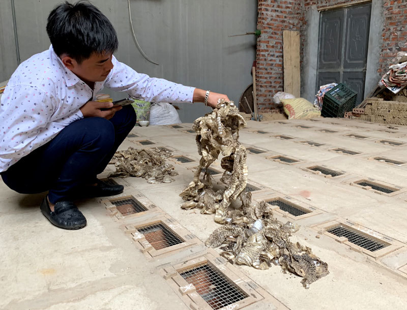 Trúng đậm chưa từng có, dân ‘làng tử thần’ tranh mua đất tiền tỷ-3