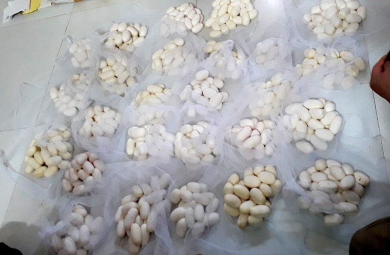 Trúng đậm chưa từng có, dân ‘làng tử thần’ tranh mua đất tiền tỷ-1