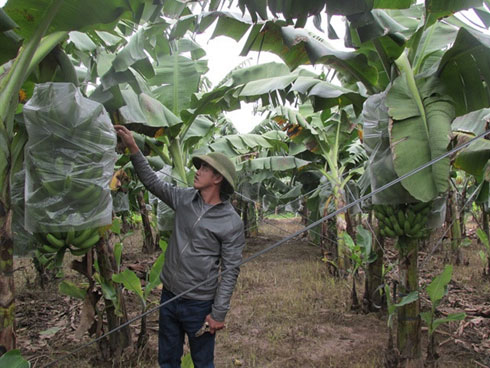 Làng tỷ phú vùng biên, biệt thự san sát, sáng ra đã có chục triệu-3