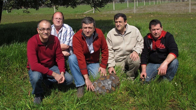 Nhìn qua xấu xí vô dụng, thực ra các khối đá này đáng giá tiền tỷ-11