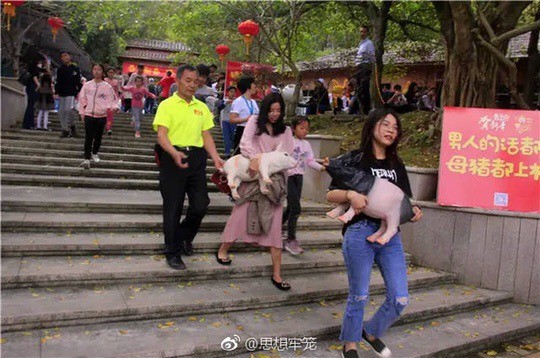 Người đàn ông đi theo 2 du khách nữ, tưởng là quấy rối nhưng sự thật là một câu chuyện đáng xấu hổ-4