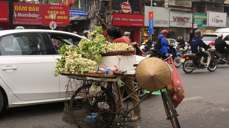 Đào phai, mai tàn, dân Hà thành chơi hoa bày đĩa nửa triệu/kg-7