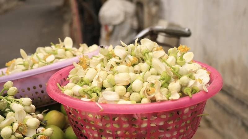 Đào phai, mai tàn, dân Hà thành chơi hoa bày đĩa nửa triệu/kg-8