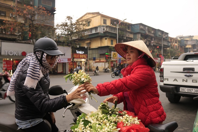 Đào phai, mai tàn, dân Hà thành chơi hoa bày đĩa nửa triệu/kg-10