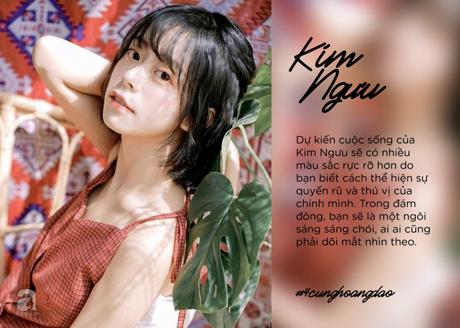 4 cung Hoàng đạo tỏa sáng rực rỡ, đi đến đâu cũng được săn đón nồng nhiệt trong năm mới Kỷ Hợi 2019 này-2