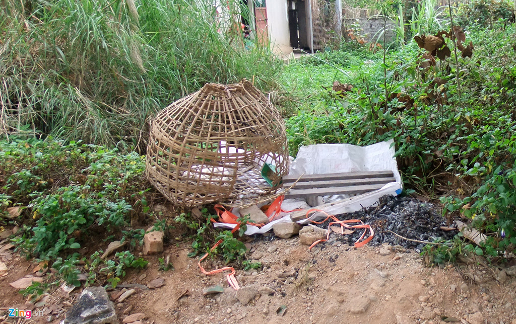 Vụ nữ sinh giao gà bị sát hại: Cuộc tìm kiếm tuyệt vọng đêm giao thừa-3