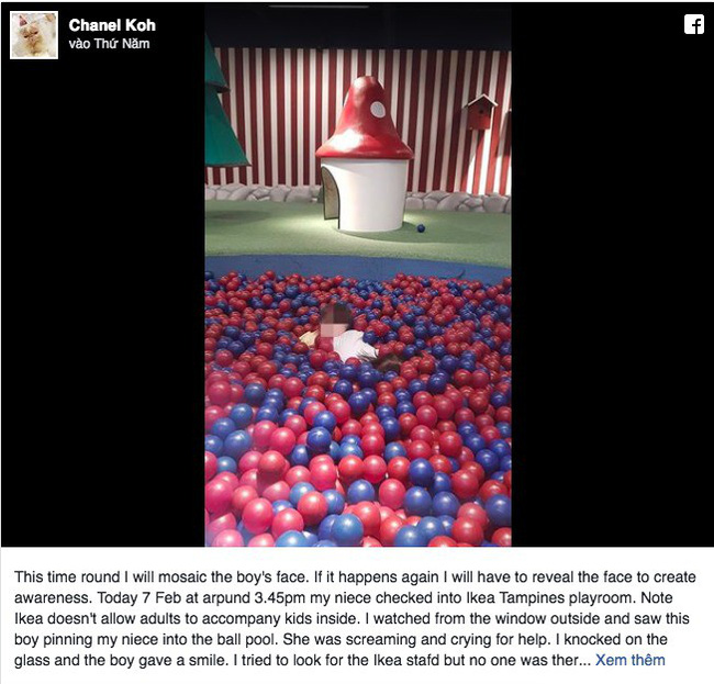 Đưa cháu đi chơi nhà banh, 5 phút sau dì hoảng hồn nghe tiếng kêu cứu, phát hiện thủ phạm đứng cười thách thức-2