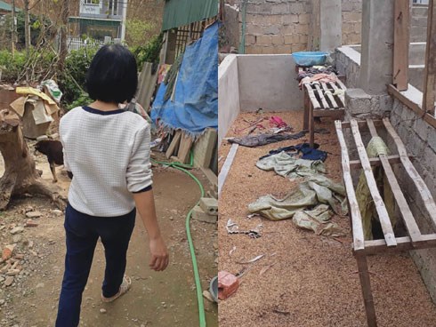 Người phụ nữ đầu tiên phát hiện thi thể nữ sinh giao gà: 