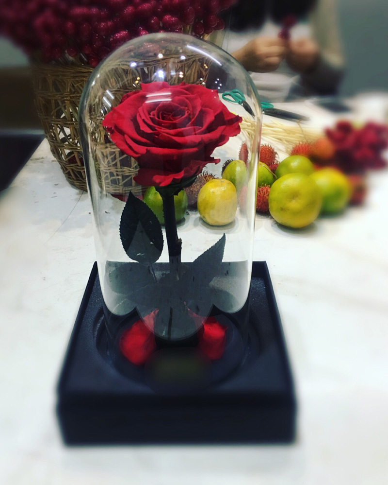 Bông hồng xanh dài gang tay 3,5 triệu: Chồng dám tặng vợ ngày Valentine-1