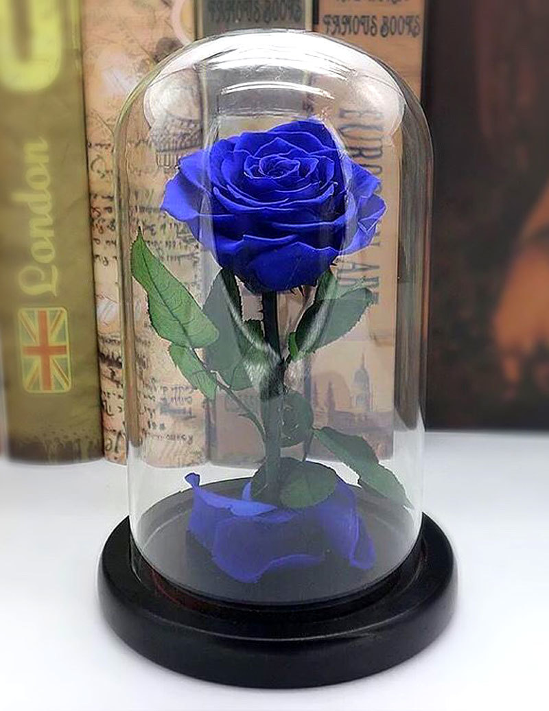 Bông hồng xanh dài gang tay 3,5 triệu: Chồng dám tặng vợ ngày Valentine-2