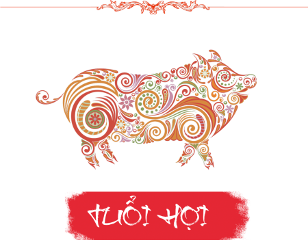 Tử vi tuổi Hợi năm 2019: Sao Thái Tuế chiếu mệnh, họa phúc khó lường-4