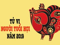 Tử vi tuổi Hợi năm 2019: Sao Thái Tuế chiếu mệnh, họa phúc khó lường Tử vi tuổi Hợi năm 2019: Sao Thái Tuế chiếu mệnh, họa phúc khó lường