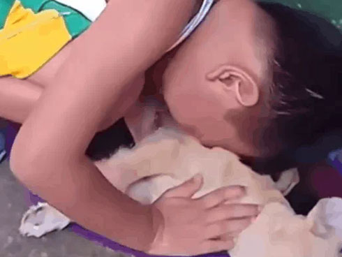 Chú chó bị đập không chừa đường sống khi đi vào chợ-1