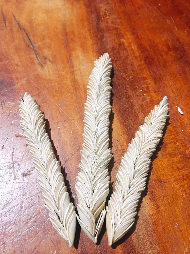 Sự thật về bông hoa trắng lạ, không ai biết tên đang gây xôn xao mạng xã hội-3