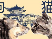 6 cặp con giáp lấy nhau là giàu có ấm êm, gia đạo viên mãn khó ai sánh bằng 6 cặp con giáp lấy nhau là giàu có ấm êm, gia đạo viên mãn khó ai sánh bằng