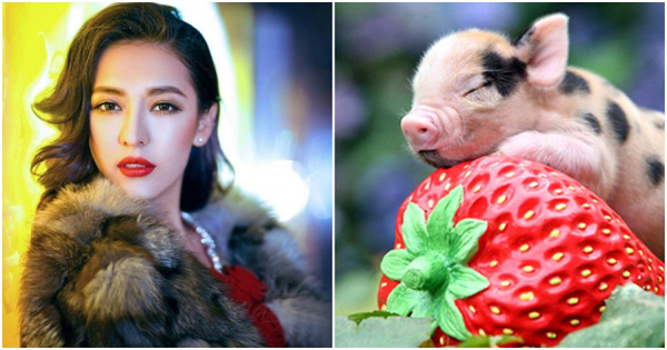 Chia buồn với 3 con giáp gặp đại hạn trong tháng giêng âm lịch này, chạy đằng trời cũng không thoát được số kiếp-2