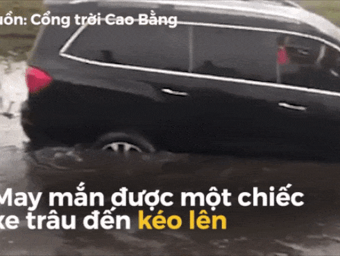 Ô tô chạy ngang, người đi đường may mắn chỉ bay mất dép-1