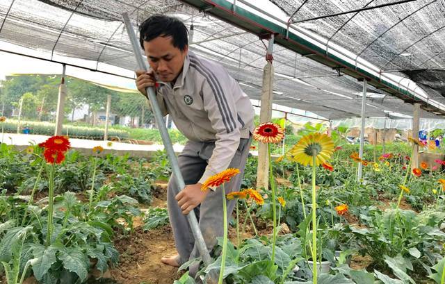 Vườn hoa tiền tỷ của chàng công nhân gác tàu xứ Thanh-1