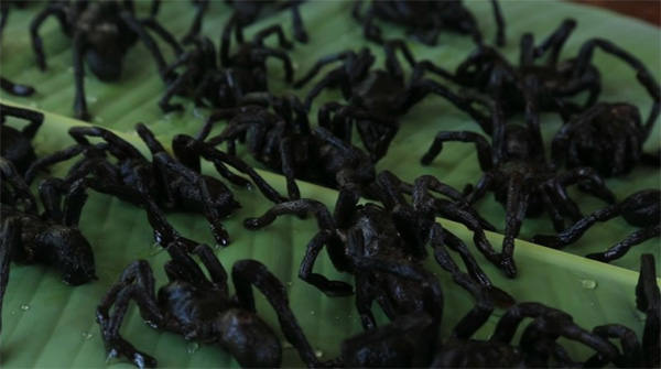 Hai cô gái Campuchia bình thản chế biến rồi thưởng thức nhện độc khiến dân tình khiếp đảm-8