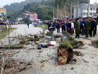 Danh tính nam thanh niên đi bộ bị cành cây gạo gãy rơi trúng tử vong ở Hà Giang