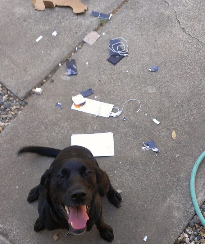 [Vui] Chẳng phải mỗi bạn đâu, những người này cũng khởi đầu năm 2019 bằng cách không thể tệ hơn-3