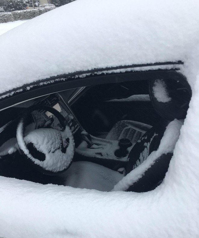 [Vui] Chẳng phải mỗi bạn đâu, những người này cũng khởi đầu năm 2019 bằng cách không thể tệ hơn-9