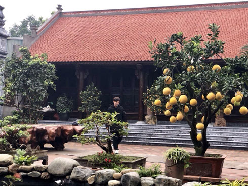 Biệt phủ xa hoa không thua kém resort 5 sao của bệnh nhân thứ 17 dương tính Covid-19-9