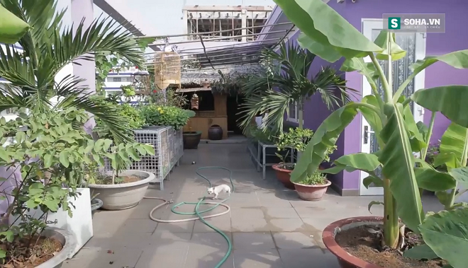 Không phải đồ cổ 100 tuổi, đây mới là thứ quý giá nhất bên trong cơ ngơi 25 tỉ của Hồng Tơ-12