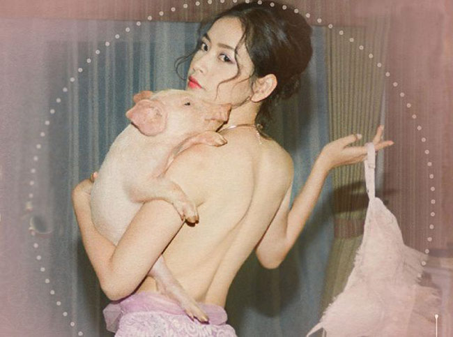 So thần thái của Lý Nhã Kỳ, Chi Pu, Ngân 98 khi chụp ảnh với heo-6