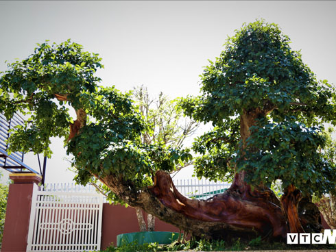 Chân dung đại gia Dũng lò vôi - ông chủ siêu dự án Đại Nam: Ăn chay trường, sở hữu khối tài sản hàng chục nghìn tỷ, biến đồng hoang thành mỏ vàng-4