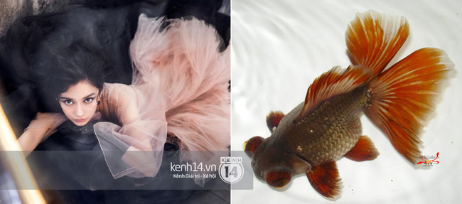 Một chiếc váy 2 số phận: Song Hye Kyo sang chảnh như bà hoàng, Angela Baby lại bị ví như cá vàng bơi tung tăng”-5