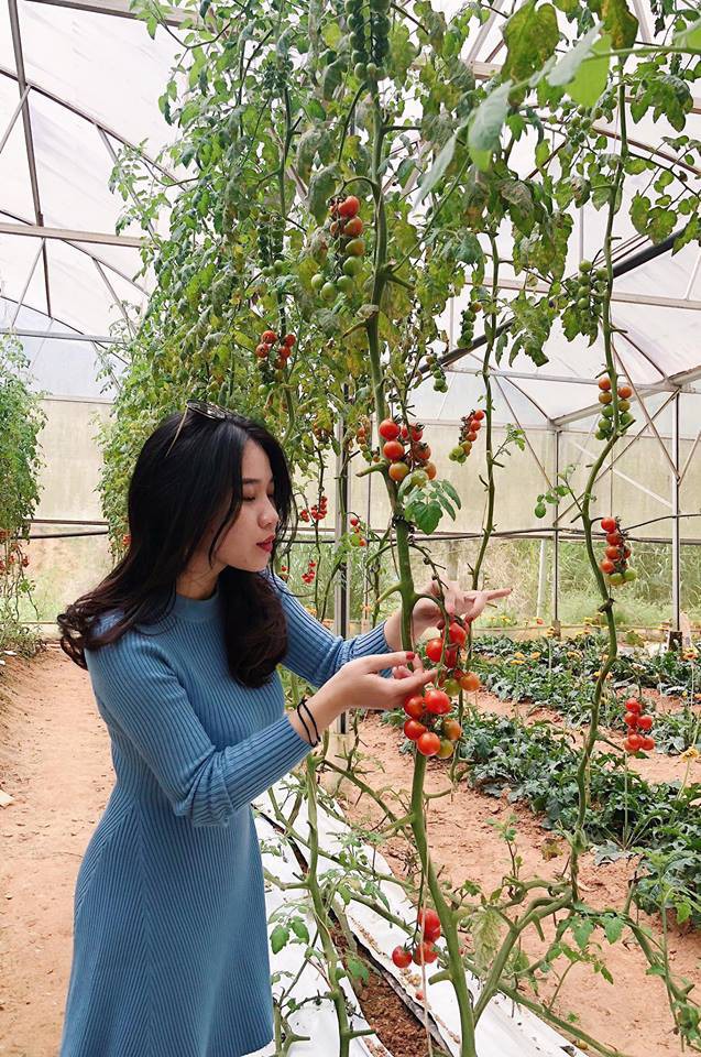 Sao nữ Vbiz nỗ lực giảm cân để lột xác: Kỳ Duyên 14 kg vẫn chưa phải kỷ lục khủng nhất!-39