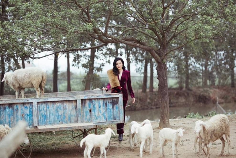 Hoa hậu Đền Hùng Giáng My bình yên vui đùa cùng đàn cừu-2
