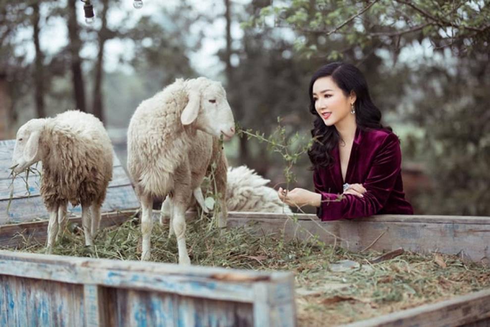 Hoa hậu Đền Hùng Giáng My bình yên vui đùa cùng đàn cừu-4