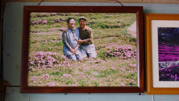 Người đàn ông Nhật Bản dành trọn tình yêu để trồng đồi hoa trước nhà suốt 4 năm để tặng vợ mù lòa-11