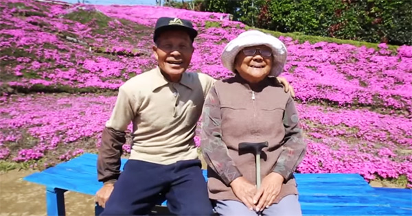 Người đàn ông Nhật Bản dành trọn tình yêu để trồng đồi hoa trước nhà suốt 4 năm để tặng vợ mù lòa-9