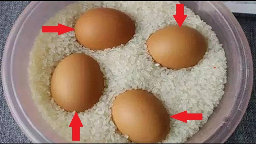 Sau Tết chỉ cần đặt 1 quả trứng vào trong thùng gạo theo cách này, kết quả sẽ khiến bạn ngỡ ngàng-1