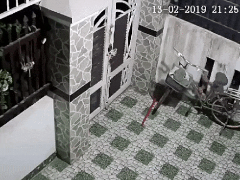 Tên trộm kỳ quặc cố ăn cắp chiếc yên xe đạp