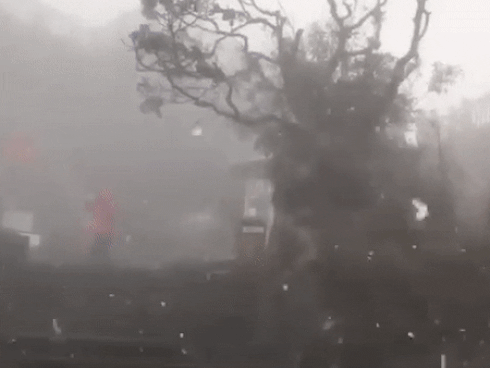 Băng tuyết đầu mùa phủ trắng đỉnh Fansipan, dự báo một mùa tuyết rơi đẹp đến ngỡ ngàng-11